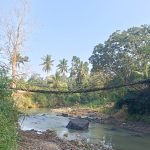 Personel TNI bersama masyarakat dan anggota LPKBDI bergotong royong membangun jembatan gantung sepanjang 55 meter yang menghubungkan Kecamatan Gunung Alip dan Kecamatan Pugung di Kabupaten Tanggamus, Lampung.