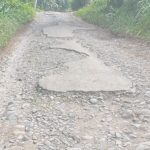 Jalan rusak parah di Kecamatan Wonosobo, Tanggamus, menghambat akses pertanian, pendidikan, dan aktivitas ekonomi masyarakat.