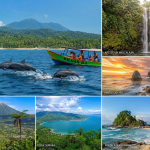 Panorama wisata Kabupaten Tanggamus Lampung menampilkan Teluk Kiluan, Pantai Gigi Hiu, Air Terjun Way Lalaan, dan Gunung Tanggamus sebagai destinasi unggulan.