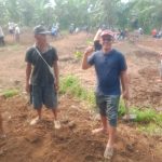 Gotong royong Jumat Bersih Kepala Pekon Soponyono bersama masyarakat di Kecamatan Wonosobo, Kabupaten Tanggamus.
